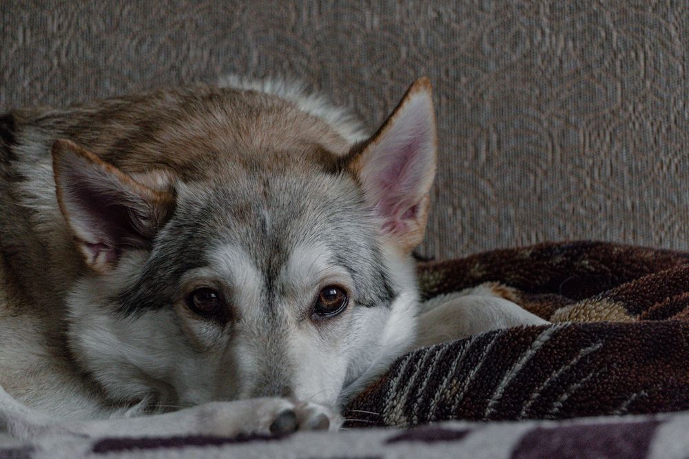 Photograph by Ходакин Александр