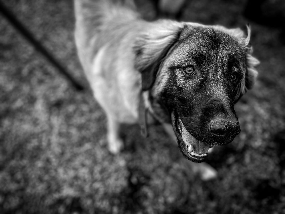 Photograph by Natalia Everatt