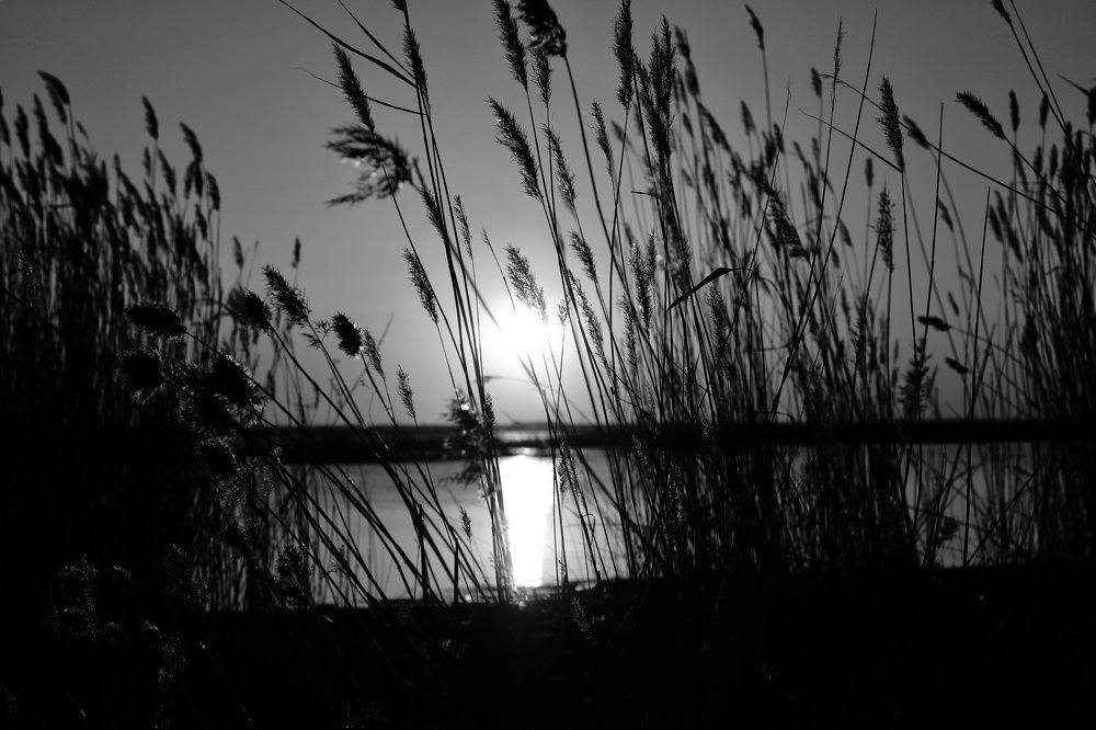 Photograph by Марина Савченко