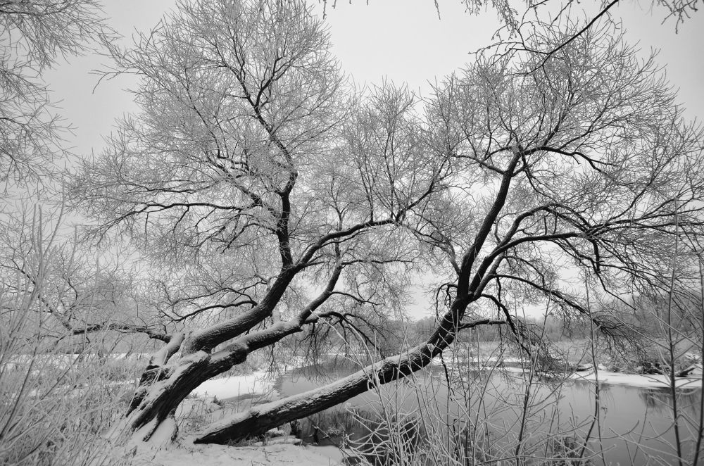 Фотография автора Антип