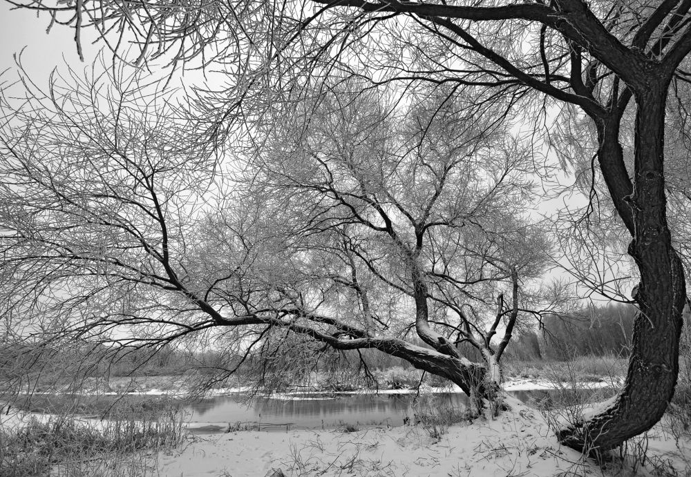 Фотография автора Антип