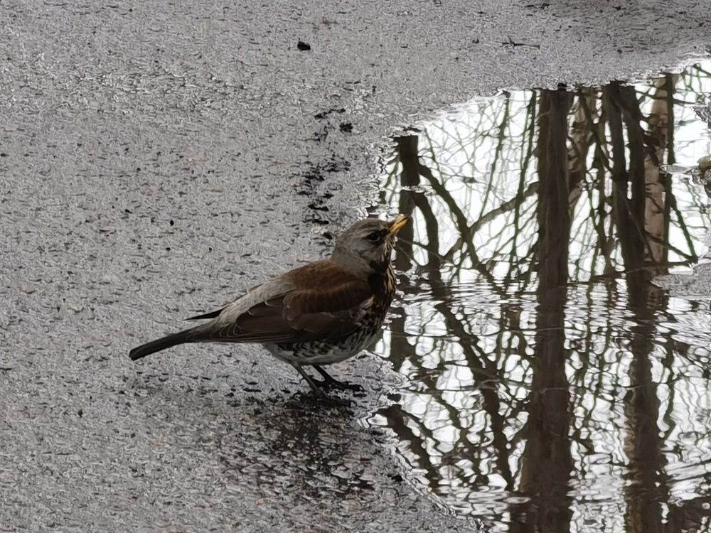 Photograph by Елена