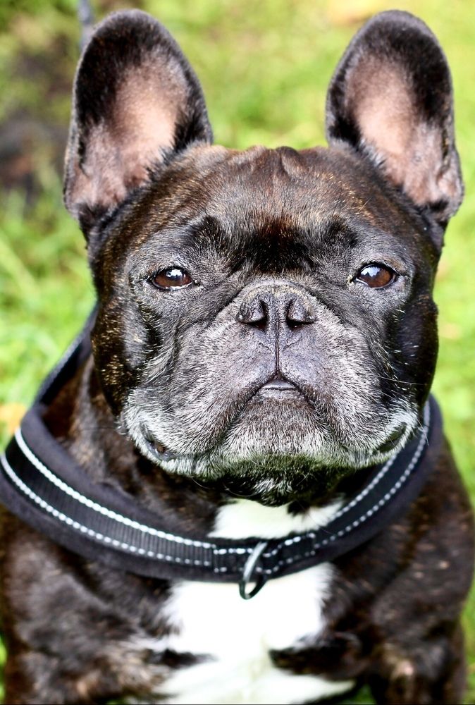 Фотография автора Ираида Гайфуллина