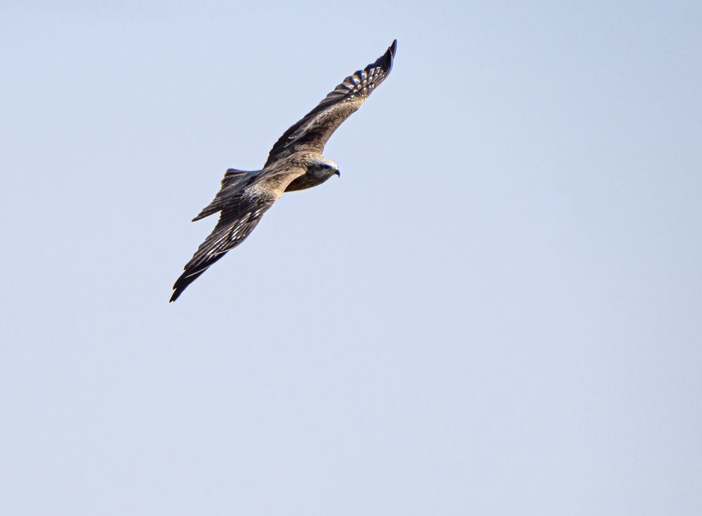 Photograph by Юрий Чернов