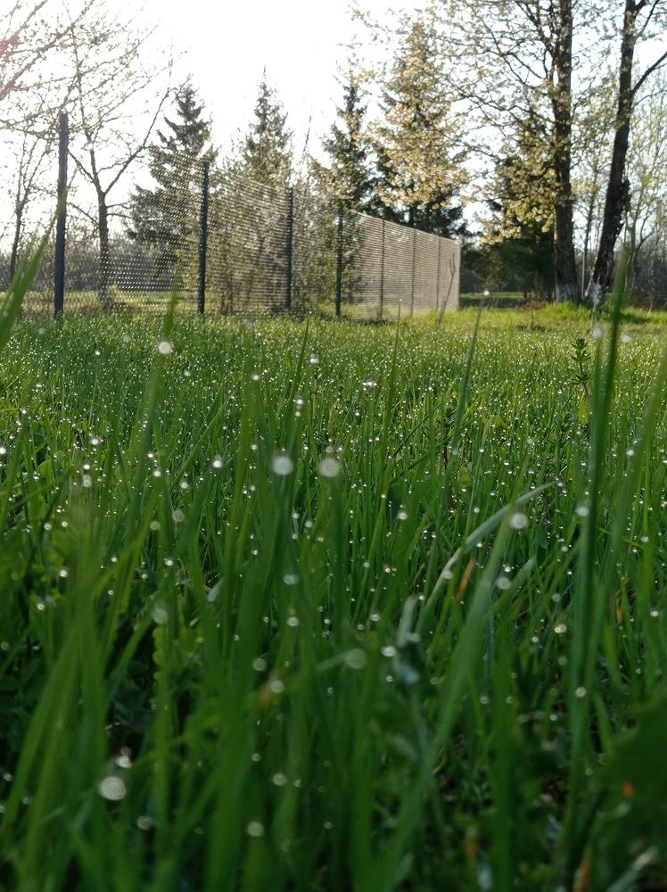 Photograph by Яна Левченко