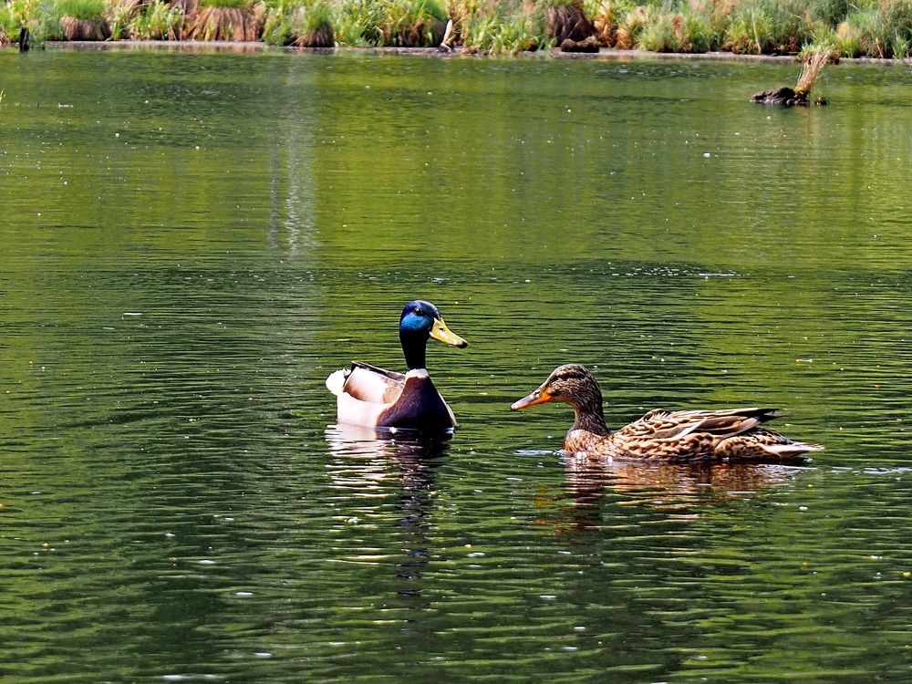 Фотография автора Владимир Куликов