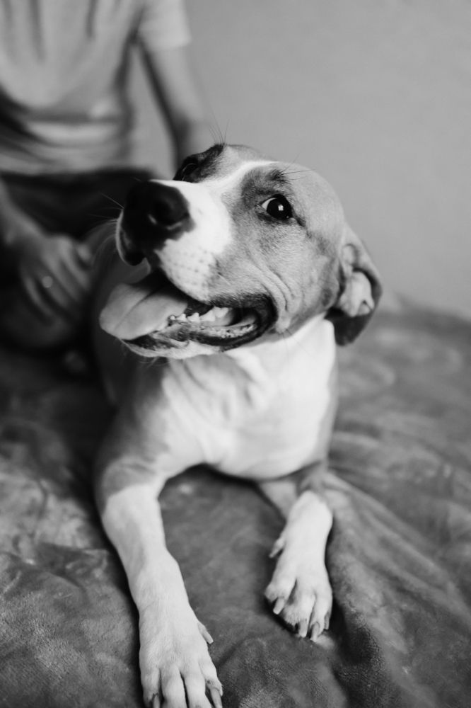 Photograph by Елена Лисина