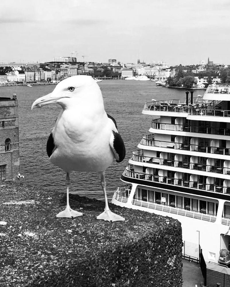 Photograph by Людмила