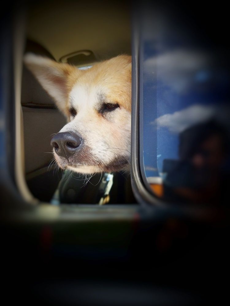 Photograph by Николай