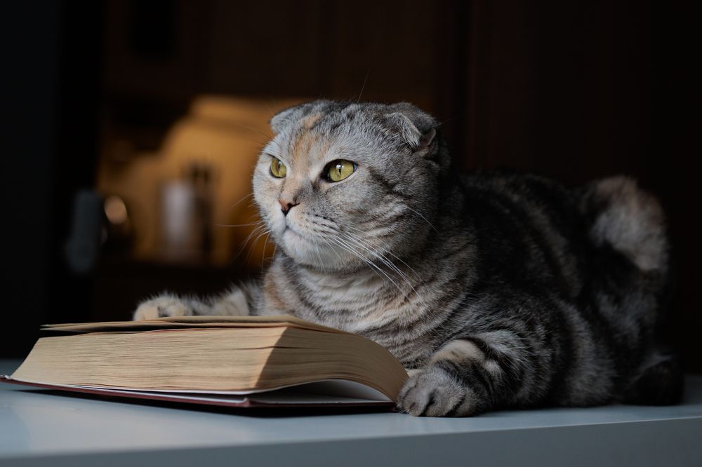 Photograph by Евгения