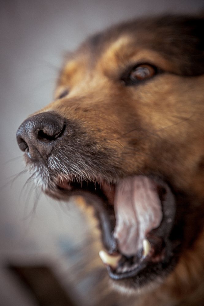 Photograph by Инна Тычная