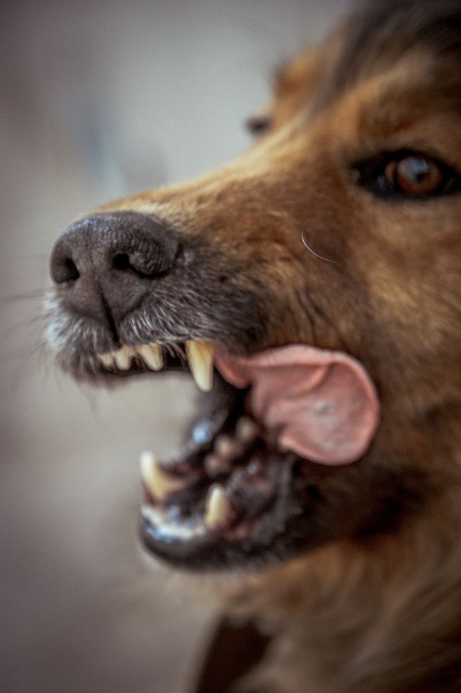 Photograph by Инна Тычная