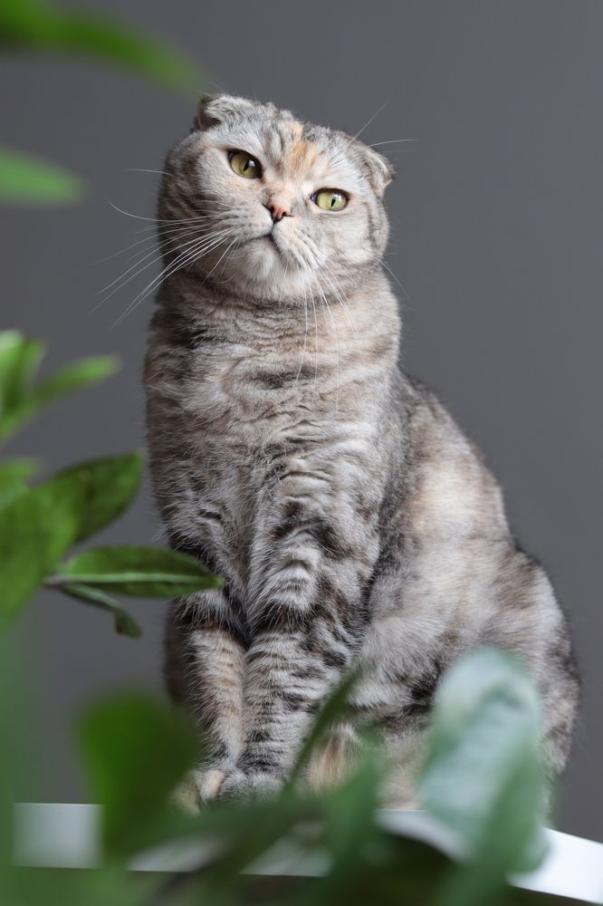 Photograph by Евгения