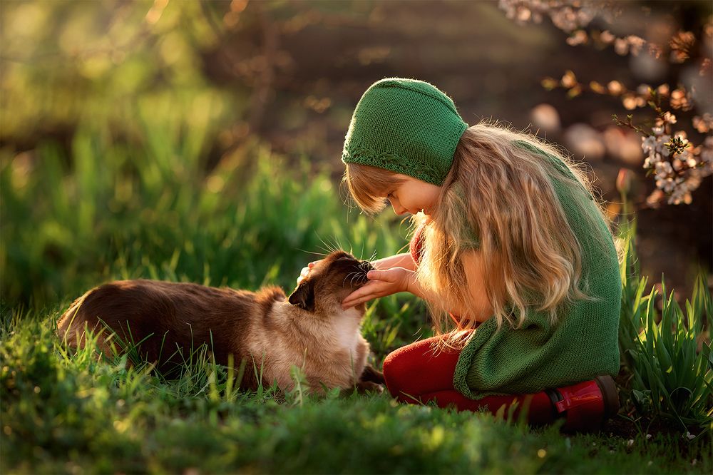 Василиса и Бонифаций