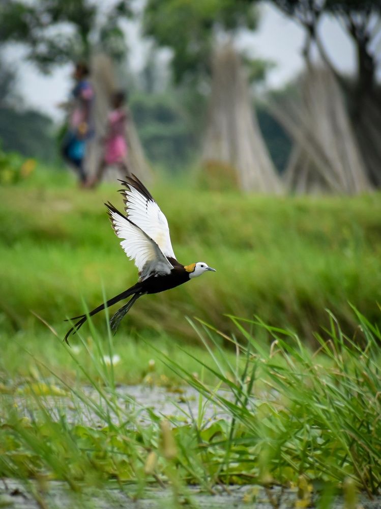A sweetble connection with people & birds