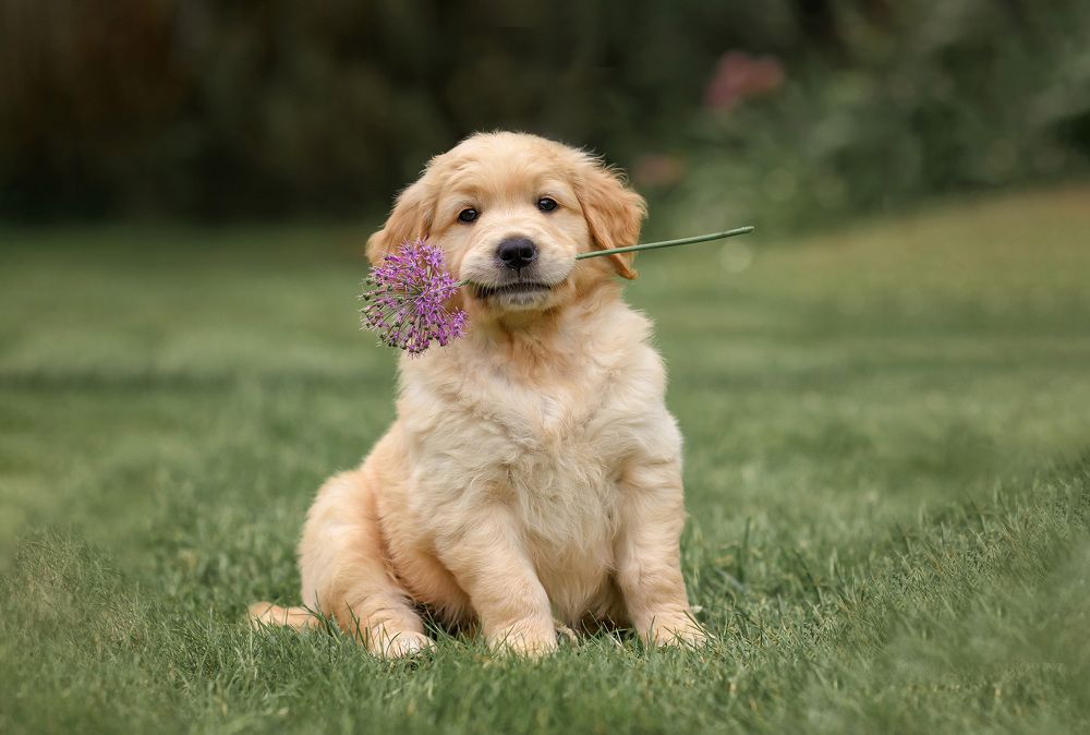 Photograph by Виктория Дубровская