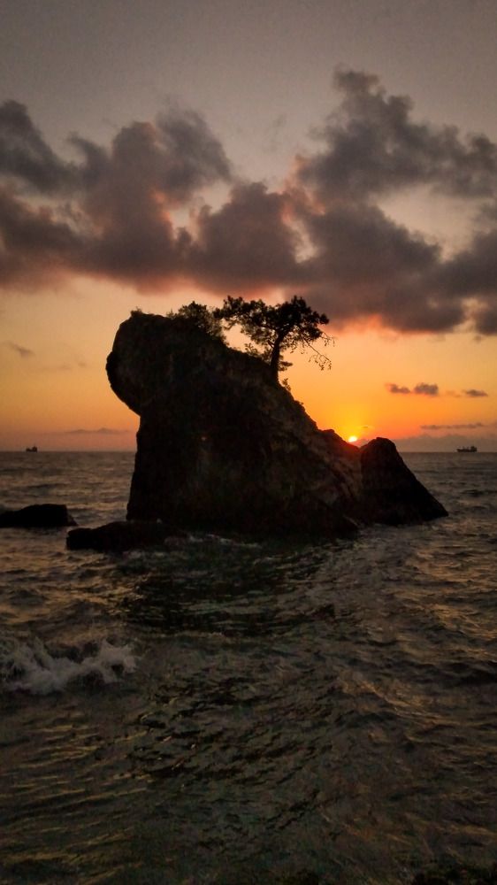 Фотография автора NECMETTİN SOBUTAY