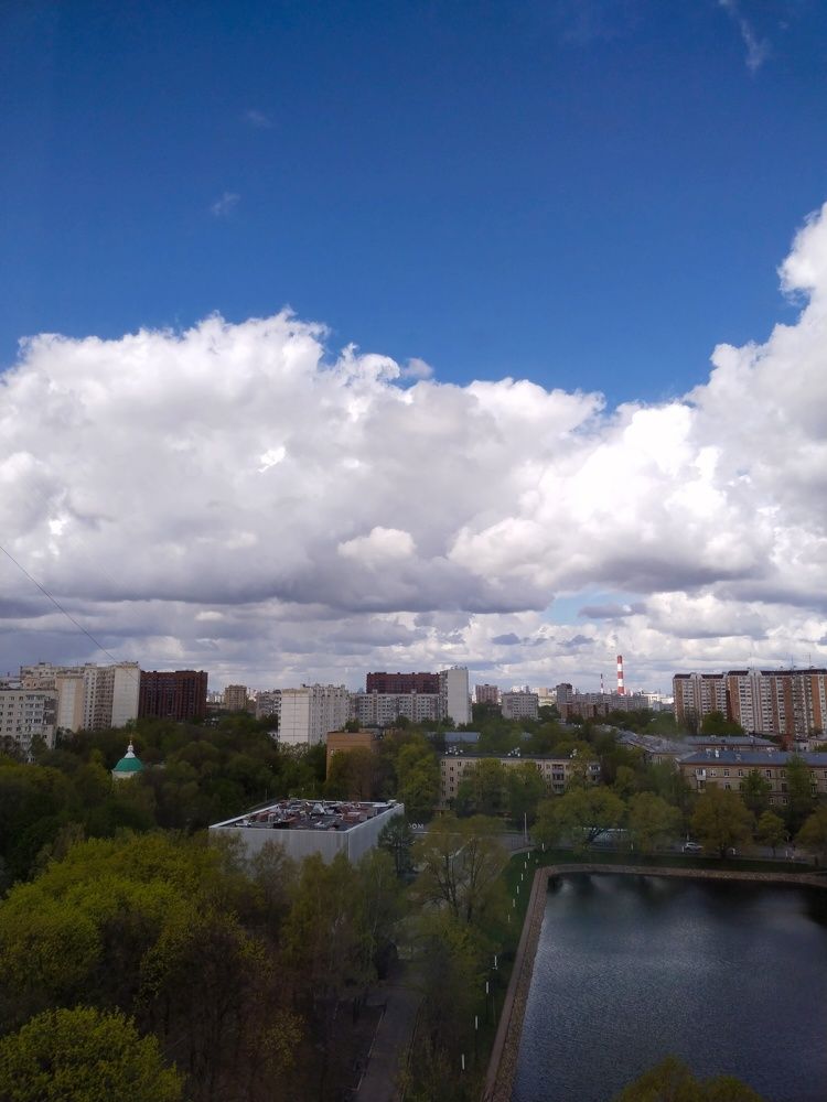 Photograph by Саманта Начкебия