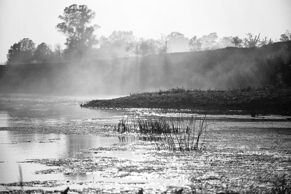 Photograph by Давлеева Эльза