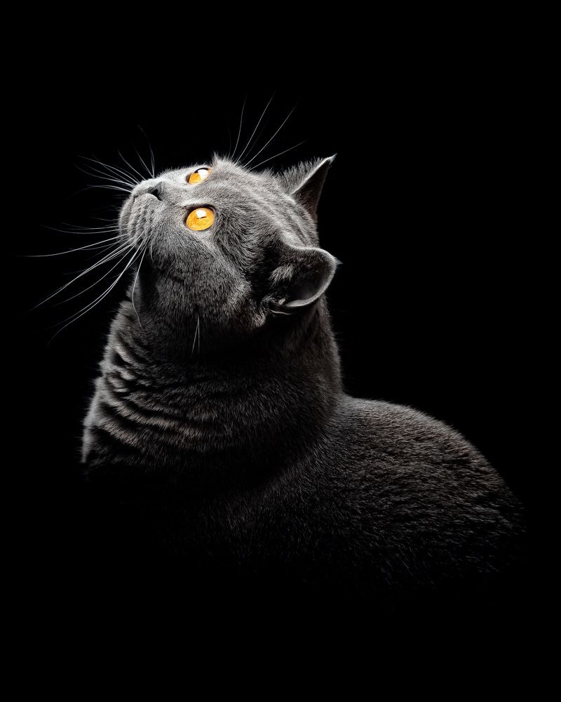 Photograph by Семен Тимофеев