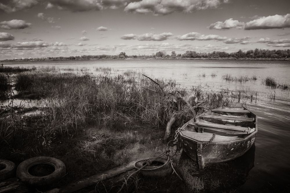 Photograph by Алексей Трифонов