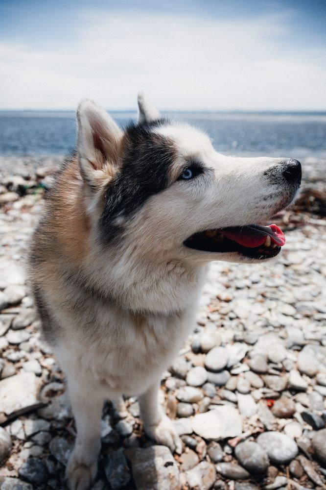 Photograph by Семен Тимофеев