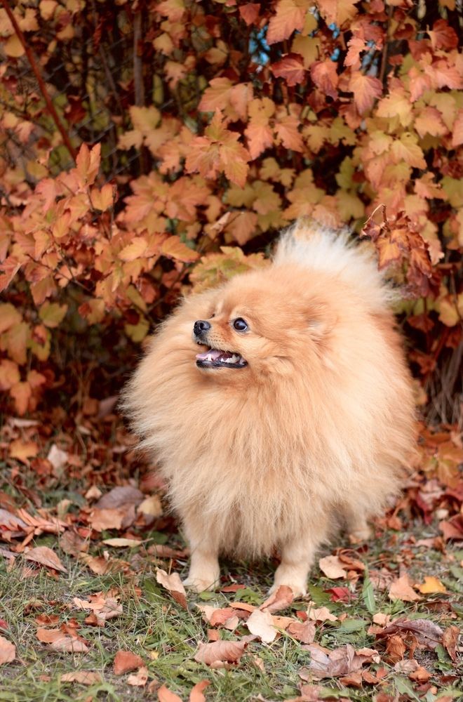 Фотография автора Ираида Гайфуллина