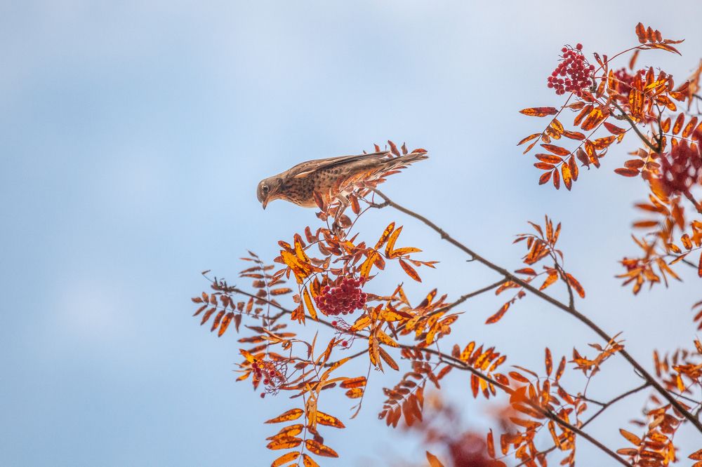 Фотография автора Анатолий Гарин