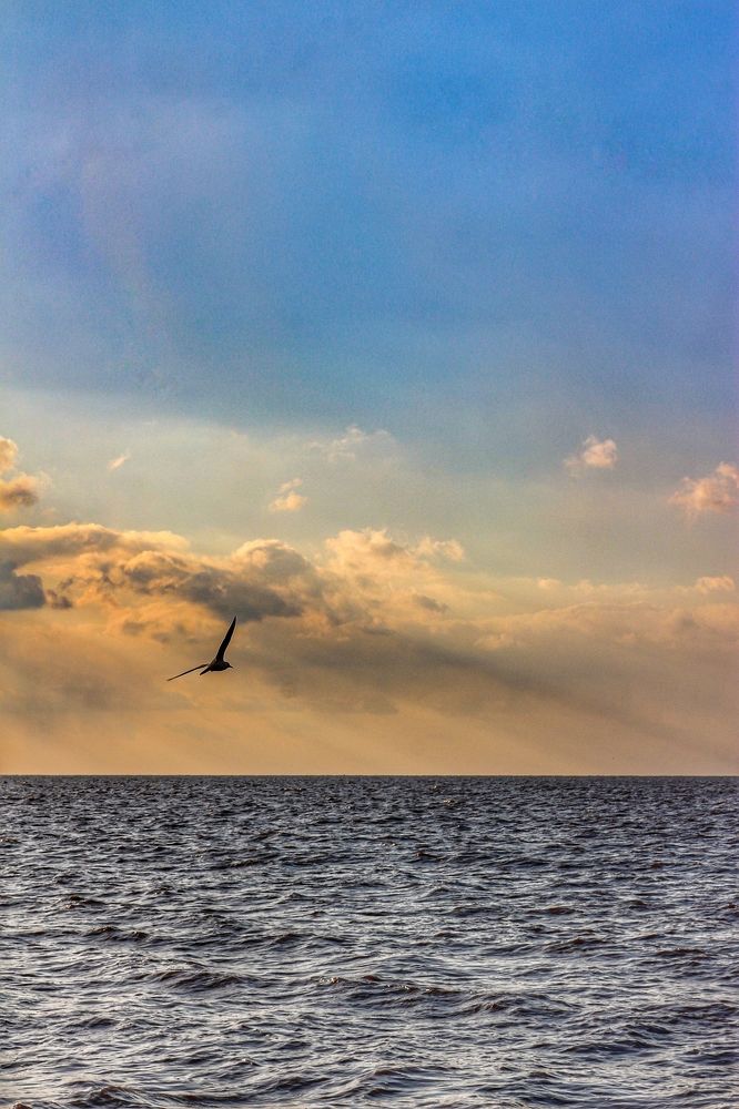 Photograph by Валентина Жиляева