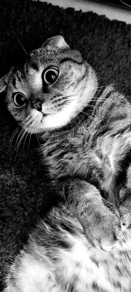 Photograph by Майя Витвицкая