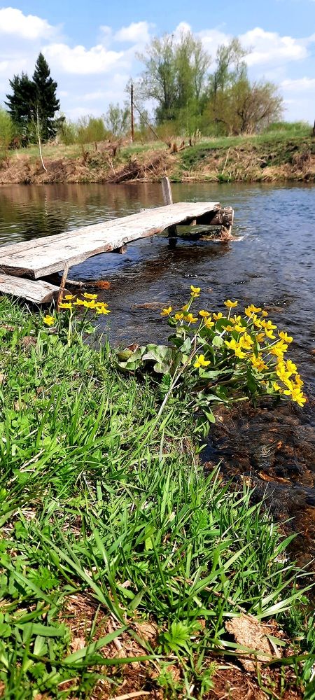 Photograph by Майя Витвицкая