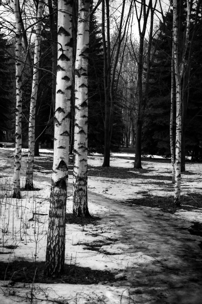 Фотография автора Татьяна Хуссейн