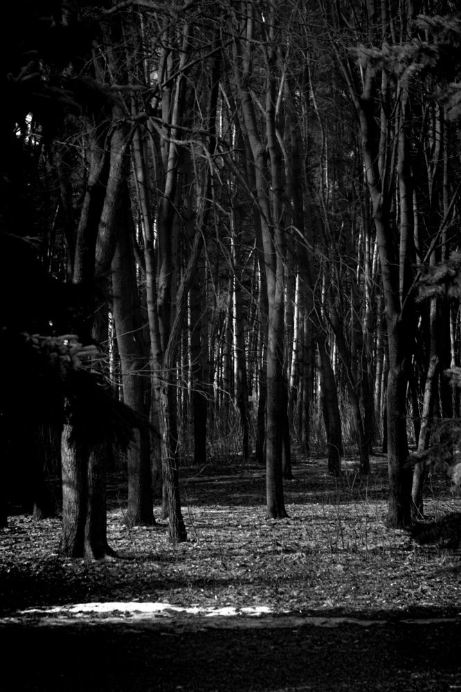 Фотография автора Татьяна Хуссейн