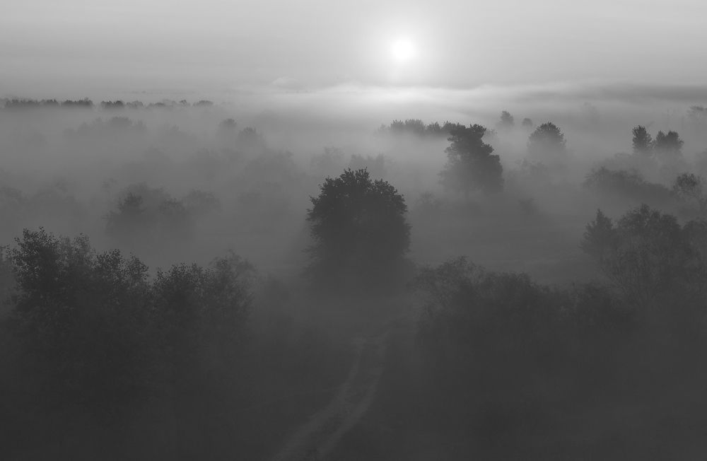 Туманное утро