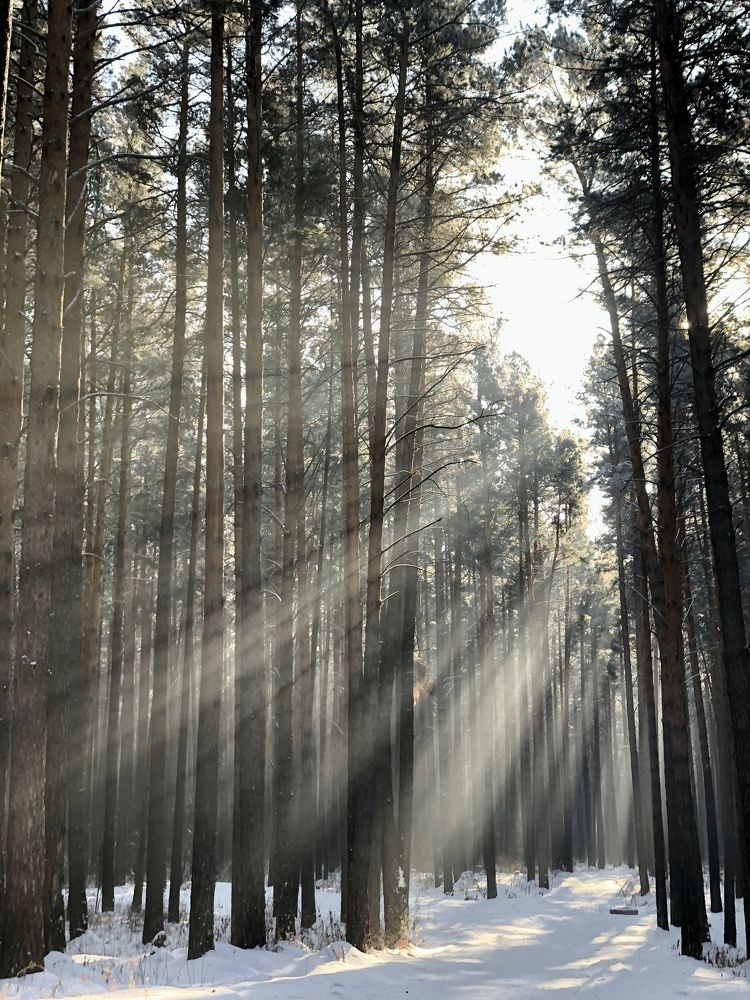 Photograph by Светлана Дмитриева