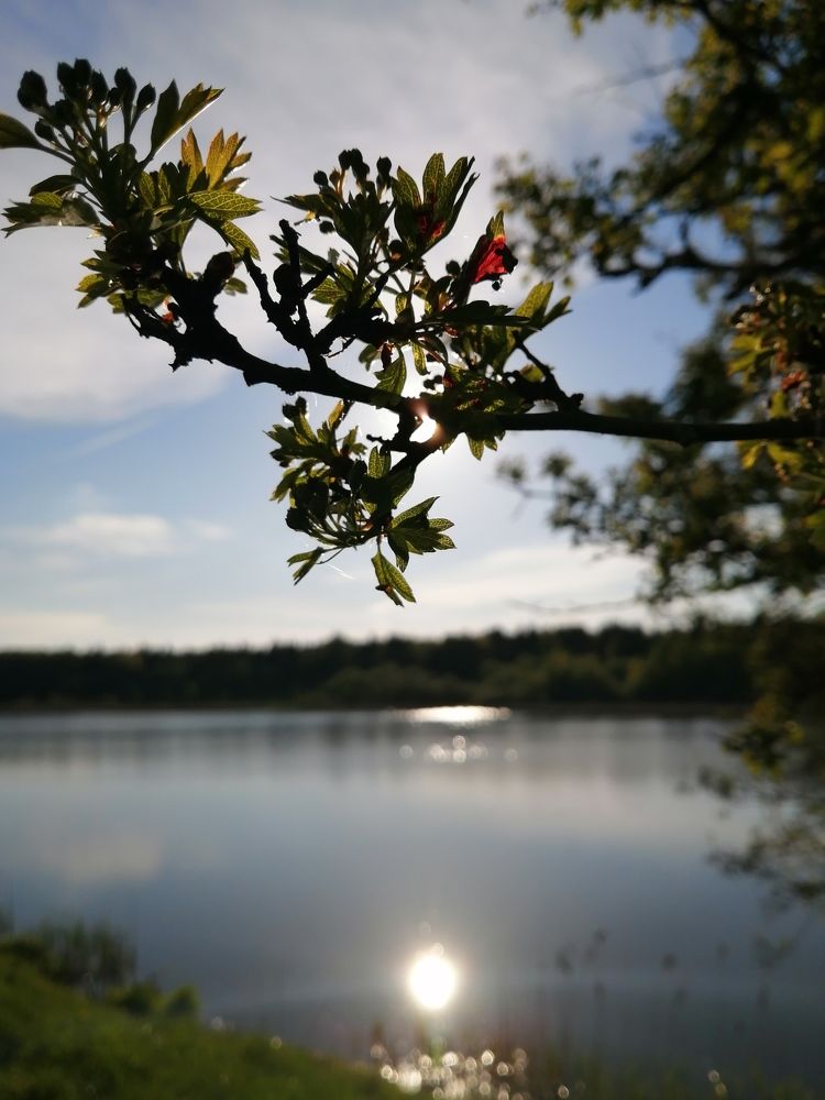 Photograph by Вероника