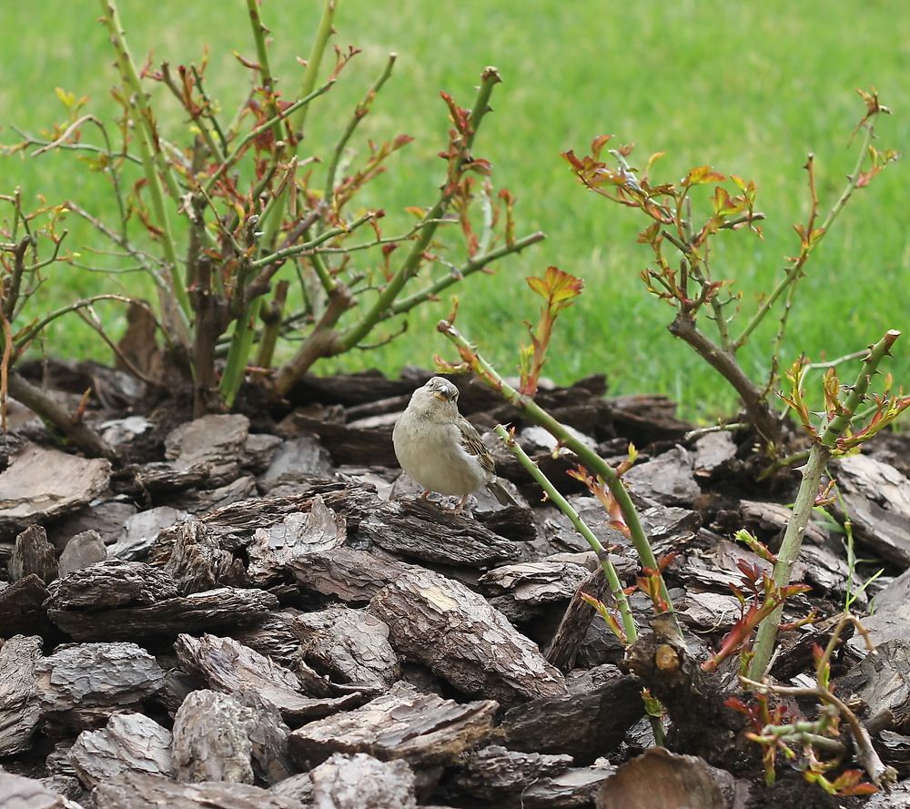 Photograph by Вероника Яськова