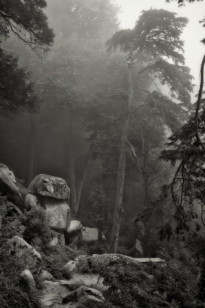 Photograph by Андрей Лабутин