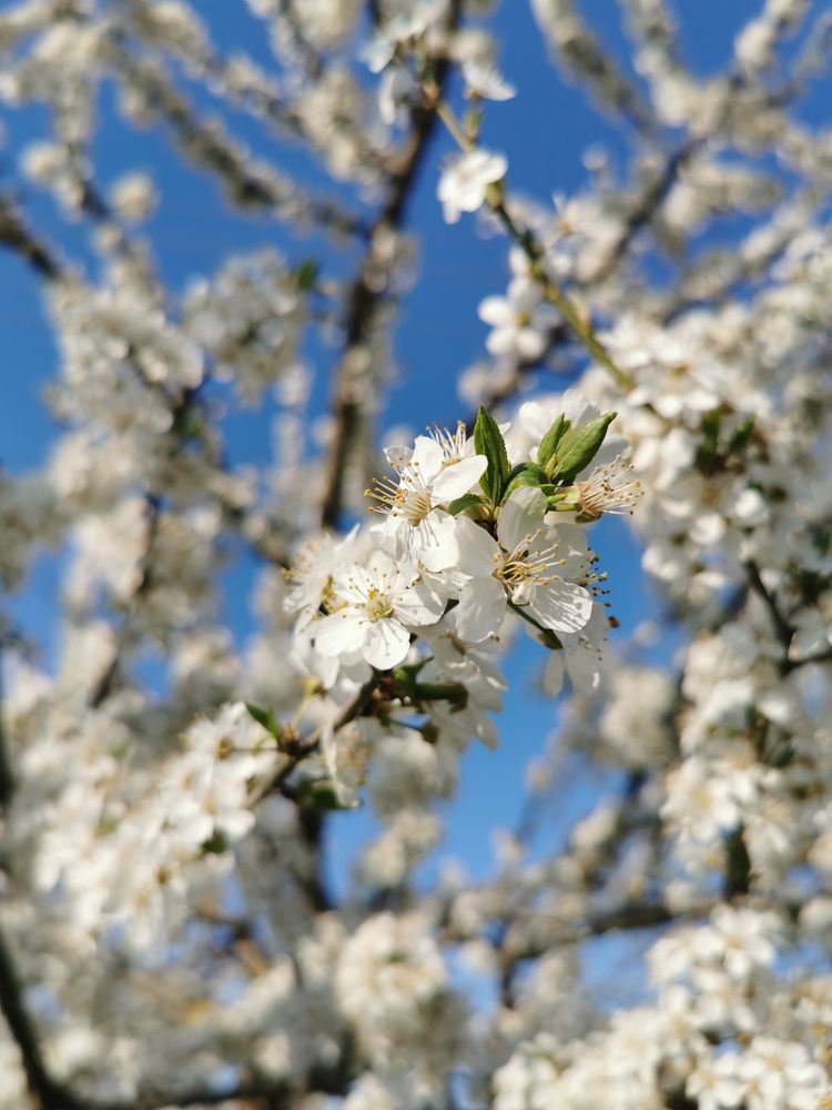 Photograph by Лиана Романчук