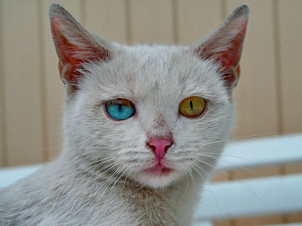 Photograph by вячеслав милов