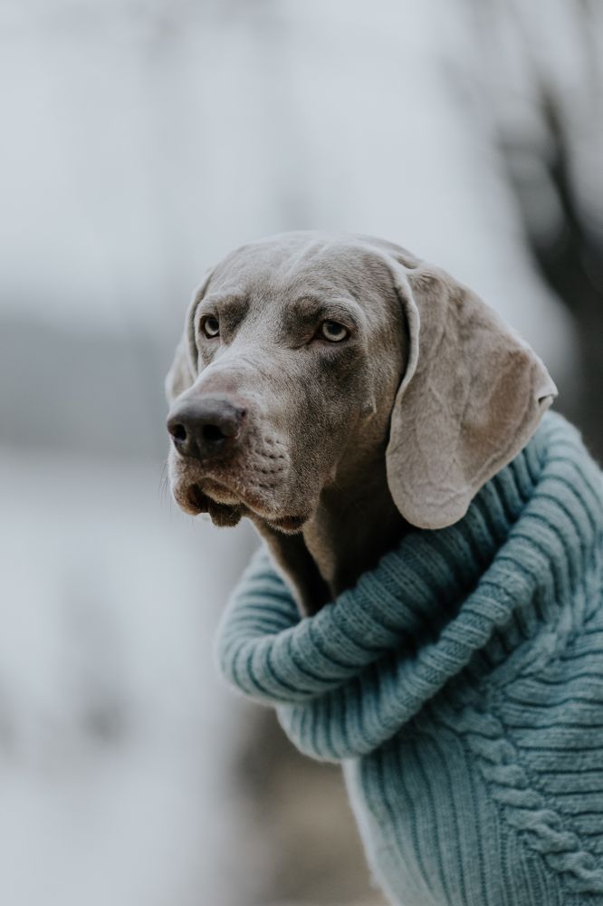 Photograph by Александра Липкина