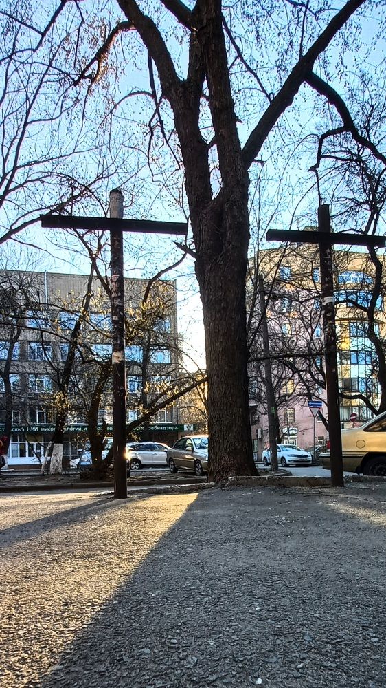 Photograph by Роман Саламатин