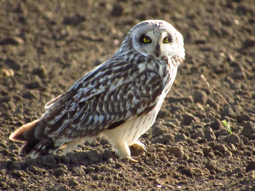 Photograph by Денис Веску