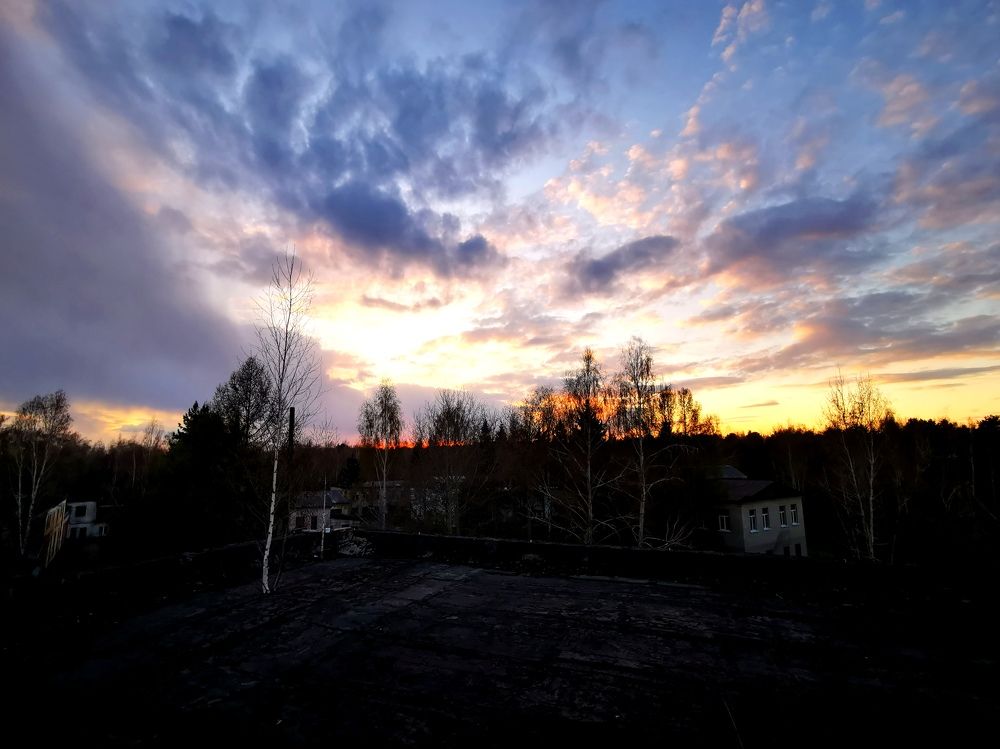 Photograph by Roman Adler