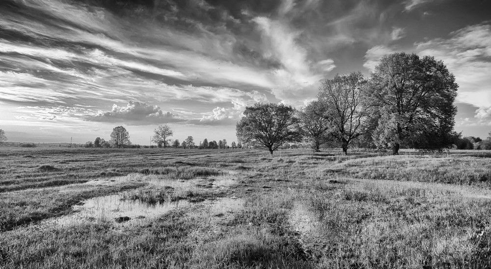 Photograph by Александр Чибиркин