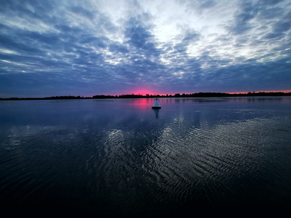 Photograph by Roman Adler