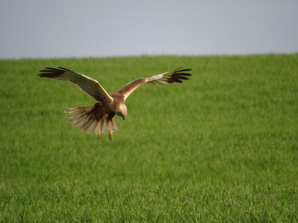 Photograph by Денис Веску