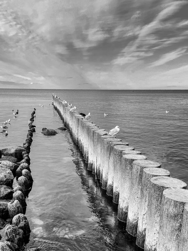 Photograph by Юлия Коншина