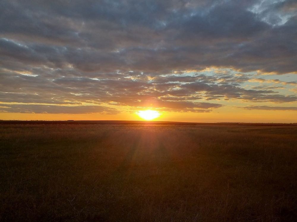 Photograph by Денис Веску