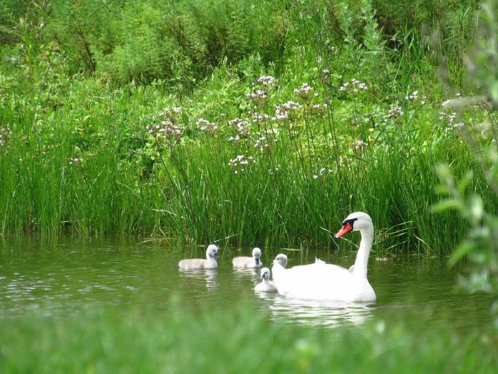 Photograph by Денис Веску